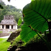 PALENQUE