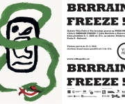 Brrrain Freeze !!!  Nový impresionismus - Julius Reichel a Namor -  Y. GALERIE VILLA PELLÉ 10.  7. 2020 – 23. 8. 2020