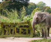 Zoo Praha oslavila 90. výročí svého založení 