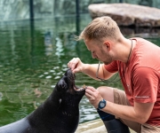 Lachtan Eda už mává návštěvníkům Zoo Praha