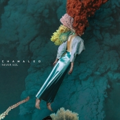 NEVER SOL - CHAMELEO