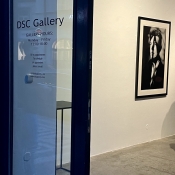 DSC GALLERY