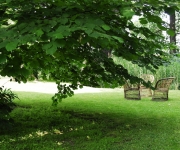 MAGICKÁ DAGMAR A JEJÍ ZAHRADA - DESIGN PODLE SCÉNOGRAFKY