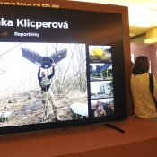 KOMENTOVANÁ PROHLÍDKA