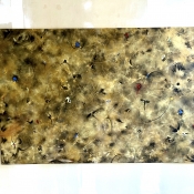 ROZÁLIE PROKOPCOVÁ