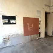 MÍLA  PRESLOVÁ - PETR NIKL