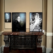 STELLA, DOUBLE OR NOTHING, LET ME OUT