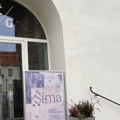 ZÁPADOČESKÁ GALERIE V PLZNI, VÝSTAVNÍ SÍŇ MASNÉ KRÁMY